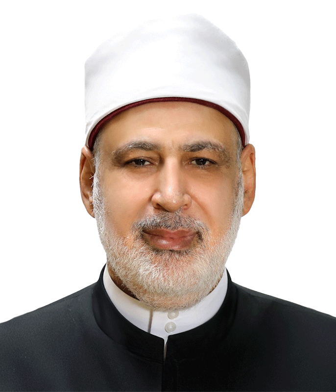 الأستاذ الدكتور/ محمد الضويني