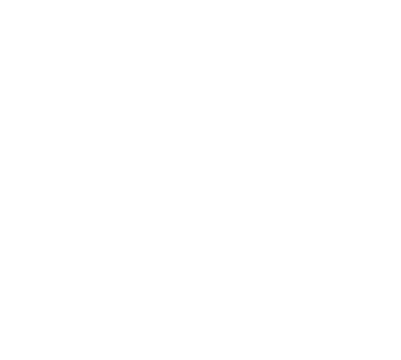 ISO 20121 light